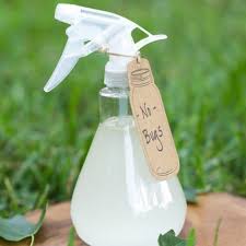 10 Remedes Naturels Pour Eloigner Les Moustiques Insectifuge Fait A La Maison Moustique Eloigner Les Moustiques
