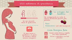 Ottava Settimana Di Gravidanza Stile Di Vita E Cambiamenti Nell Embrione