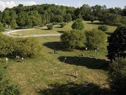 These options are lovingly offered by a team that really cares, and that shares that connection with and appreciation of animals. Pet Cemetery Brooklyn Queens Nyc Staten Island Nj Pa