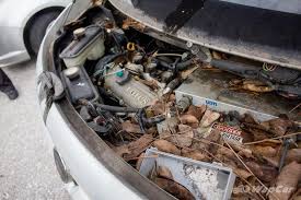 Maybe you would like to learn more about one of these? Perlukah Anda Cuci Enjin Kereta Ini Cara Yang Sebetulnya Wapcar