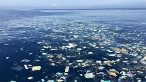 The great pacific garbage patch lies within that massive area. Don T Upvote But Keep In Mind Great Pacific Garbage Patch Steemit