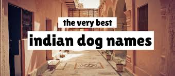 We think it would make a pawsitively adorable title for a small dog like a terrier. 70 Indian And Hindu Dog Names Great Names For Your Pooch