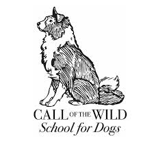 Lincoln park dog & cat clinic welcomes you! Family Pet Animal Hospital Home Facebook