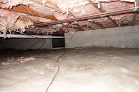 The crawl space encapsulation cost for this category may run from $5,000 to $7,000. How To Encapsulate A Crawl Space Cost Effectively Randy S Favorites