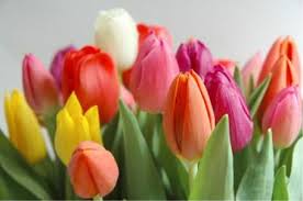Bildresultat för blombukett vår bilder