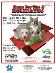 Maybe you would like to learn more about one of these? Home For The Holiday S Pet Adoption At Petsmart Albuquerque
