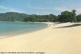 El utan teluk nipah se encuentra en pangkor y ofrece vistas al jardín, alojamiento, jardín, zona de playa privada y terraza. Teluk Nipah Picture Of Pangkor Pulau Pangkor Tripadvisor