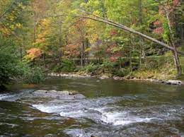 Tellico River Fishing Map Tellico River Fly Fishing