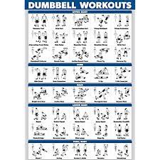 A quick google search will show more moves than you for more tips, we recommend these articles: Buy Palace Learning Dumbbell Workout Exercise Poster Laminated Free Weight Body Building Guide Home Gym Chart Double Sided 18 X 27 Online In Indonesia B07nbw32b8