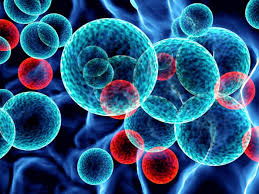 La temperatura corporal se puede determinar en tres zonas: Una Temperatura Corporal Alta Combate Mejor Las Infecciones Y Los Tumores El Medico Interactivo