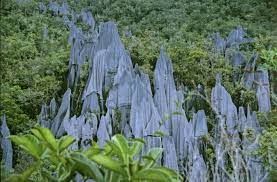 Последние твиты от sarawak travel, malaysia, borneo (@sarawaktravel). The Pinnacles Of Borneo Amazing Wonder Of Gunung Mulu National Park