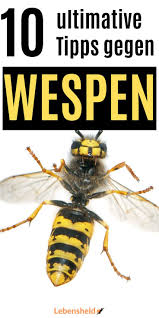 10 Ultimative Tipps Gegen Wespen Das Hilft Sofort Lebensheld Tipps Wespenfalle Wespe