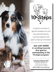 Contact maine miniature australian shepherd breeders near you using our free miniature australian shepherd breeder search tool below! Asca