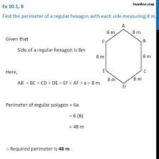 Quickly convert between centimeters, meters, feet and inches with this height converter. Ex 10 1 8 Find Perimeter Of A Regular Hexagon With Side 8 M