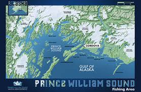 We coordinate and support projects such as. Wild Sustainable Salmon Pws Wild Sockeye Salmon