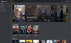Video Station Synology Inc