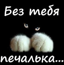 я скучаю по тебе и жду тебя моя малышка Otkrytka Skuchayu Bez Tebya Pechalka Chernyj Kot Belye Lapki Ya Skuchayu Po Tebe Kartinka Skuchayu Zhdu Tebya Mne Grustno Bez Tebya Koshachi Citaty Nadpisi Otkrytki