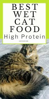 Wet cat foods are available in pouches, tins or trays to suit all budgets and are very convenient. Pin On Cat Food Diets