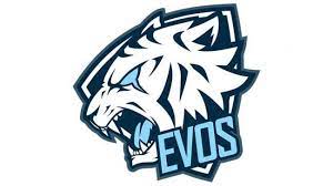 Gambar foto harimau sumatera dan macan tutul all over the world in fact was nine subspecies the tiger in the panthera genus. Evos Esports Wins Three Awards At The End Of 2020 Netral News