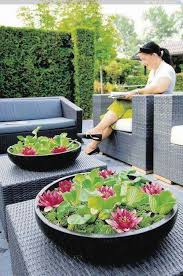 Large Soucoupe A Nenuphar Jardin D Eau Amenagement Jardin Deco Jardin
