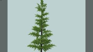 Maybe you would like to learn more about one of these? Tall Pine Tree 3d Warehouse