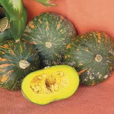 Sow groups of 2 to 3 seeds 2 ft. Speckled Pup Pmt F1 Hybrid Kabocha Winter Squash Seeds Ne Seed