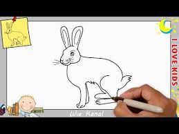 Hase Zeichnen Schritt Fur Schritt Fur Anfanger Kinder Hase Zeichnen Lernen Youtube