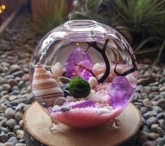 30 Creative Ideas For Beautiful Diy Terrariums Beautiful Creative Diy Ideas In 2020 Marimo Terrarium Marimo Moss Ball Terrarium Terrarium Diy