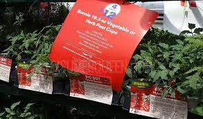 It has a rating of 4.3 with 44 reviews. Lowe S Vegetable Flower Sale In Store Thru 5 24
