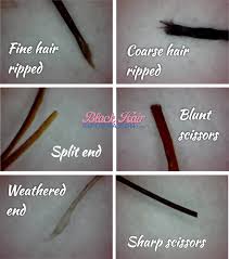 Hair Under The Microscope Types Of Hair Ends Deconstructed Natural Hair Styles Black Hair Care Natural Hair Inspiration