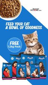 Pin On Pet Food Treats