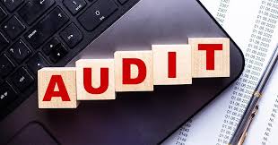 نتیجه جستجوی لغت [audits] در گوگل