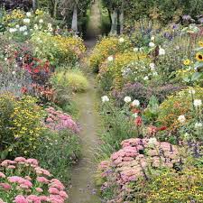 Design Advice For A Wild Informal Garden In 2020 Garden Design Plans Southern Garden Charming Garden