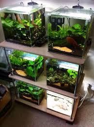 Shrimp Rack Shrimp Tank Betta Fish Tank Aquarium Fish Tank