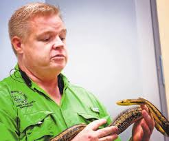 Bulldozed: Otter pups left orphaned