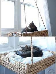 diy basket for cat cat hammock cat room cat diy