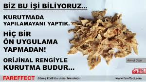 Biz Bu Isi Biliyoruz Kurutmada Yapilamayani Yaptik Hic Bir On Uygulama Yapmadan Orijinal Rengiyle Kurutma Budur Armut Kurutma Makines Gida Meyve Sebzeler