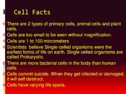 Check spelling or type a new query. Cells Power Point