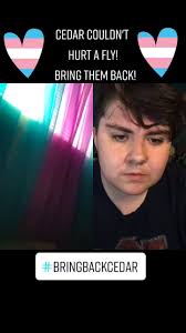 Dead Cedar Bring Back