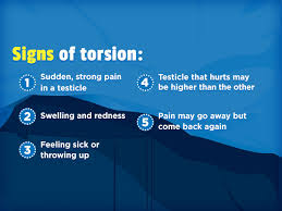 My nuts both swelled up to the size of a cell phone. Testicular Torsion For Teens Nemours Kidshealth