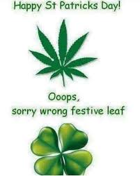 The best gifs are on giphy. 25 Funniest St Patrick S Day Memes Makes You Lol Ahseeit