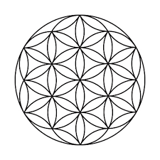 Download Flower Of Life Vector Free Ai Svg And Eps
