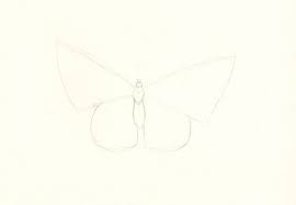Take flight with our easy butterfly drawing tutorial - Gathered