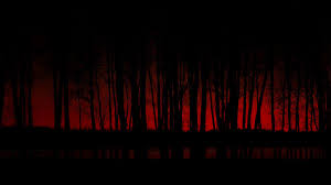 24 Forest Wallpapers Forest Backgrounds In 2021 Forest Wallpaper Dark Wallpaper Dark Black Wallpaper Dark forest wallpaper wide with hd desktop. forest wallpapers forest backgrounds