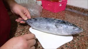 palamut nasil saklanir dondurulur youtube