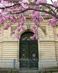 paris door photo paris photography spring in paris green etsy paris photography paris architecture paris wall art