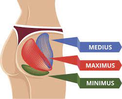 Hip thrusts für den perfekten booty los geht's mit den hip thrusts, auch als beckenheben bekannt. Die 10 Effektivsten Po Ubungen Fur Zuhause