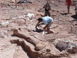 Maybe you would like to learn more about one of these? Titanosaurus Rex Columbia Magazine