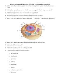 Aerobic cell respiration, a reaction with the participation of molecular oxygen (o₂); Photosynthesis Cell Respiration Cells And Organs Study Guide