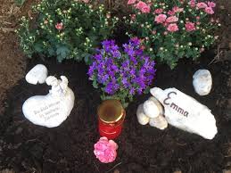 Wohin mit dem toten tier? Haustierbestattung Welche Moglichkeiten Gibt Es Tasso